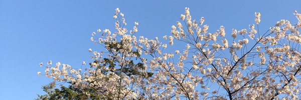 AlanWilliamson Profile Banner