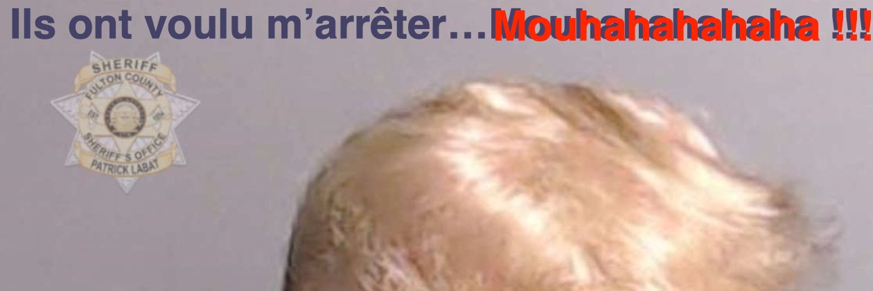 Prolotwitto's profile banner image