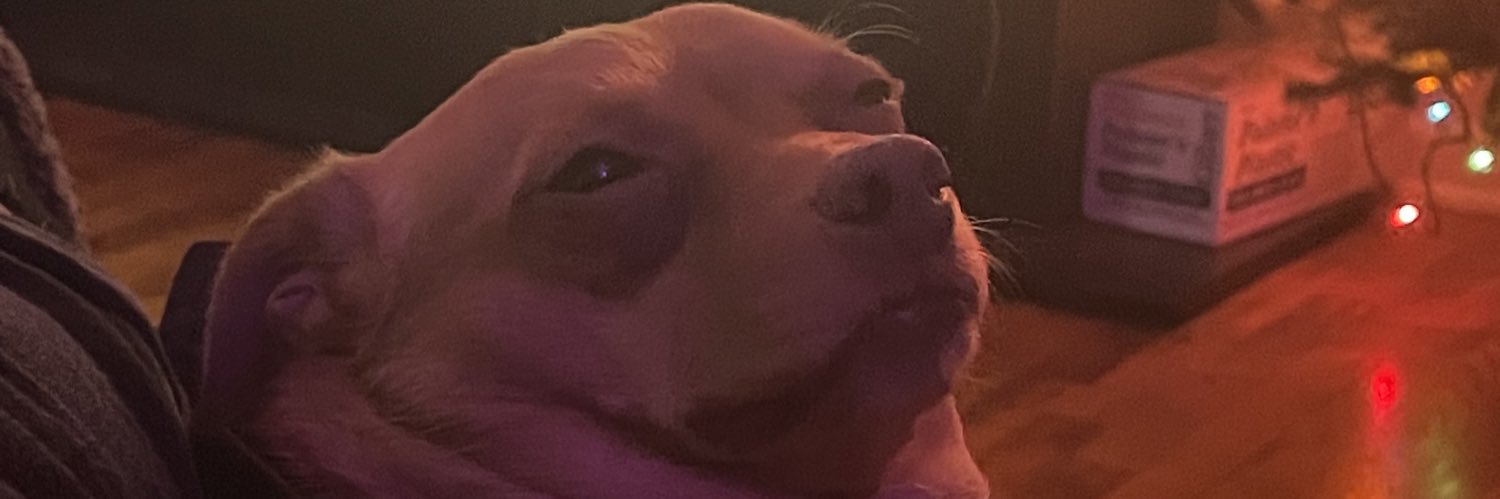 budprophet's profile banner image
