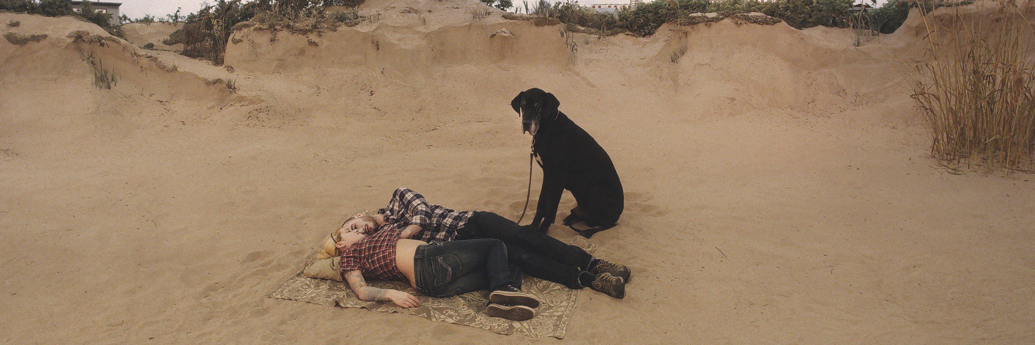 Leonardo Piccione banner