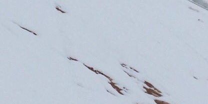 ms22_11's profile banner image