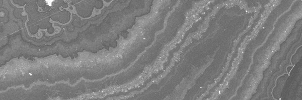 DrDomTanner Profile Banner