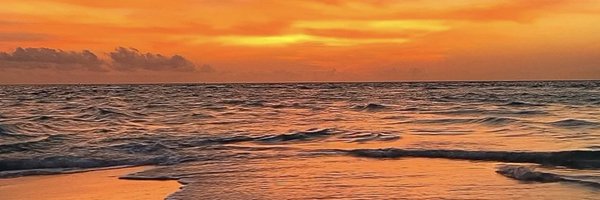 USofSOLO Profile Banner