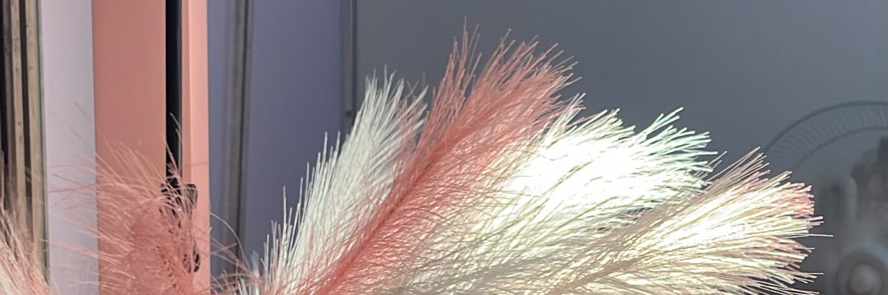 Bilkisu🧚‍♀️ banner