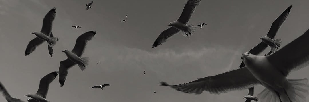 dogannsalih's profile banner image