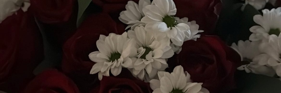 cam banner