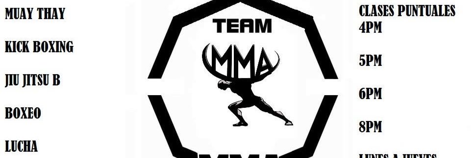 fnsmmaclub's profile banner image