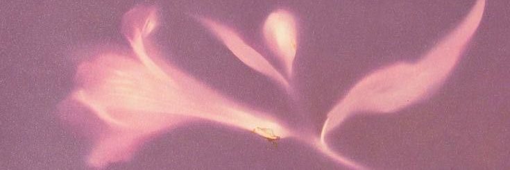 EceTssn's profile banner image