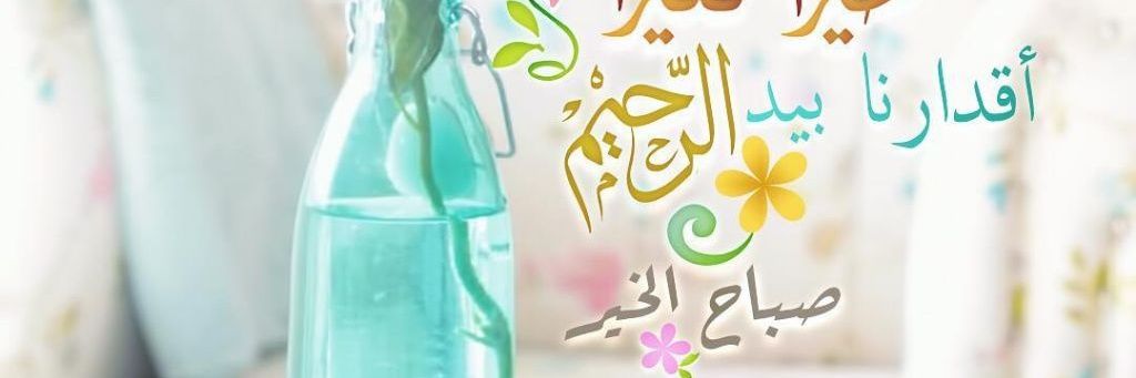 Mohammed Mohammed banner