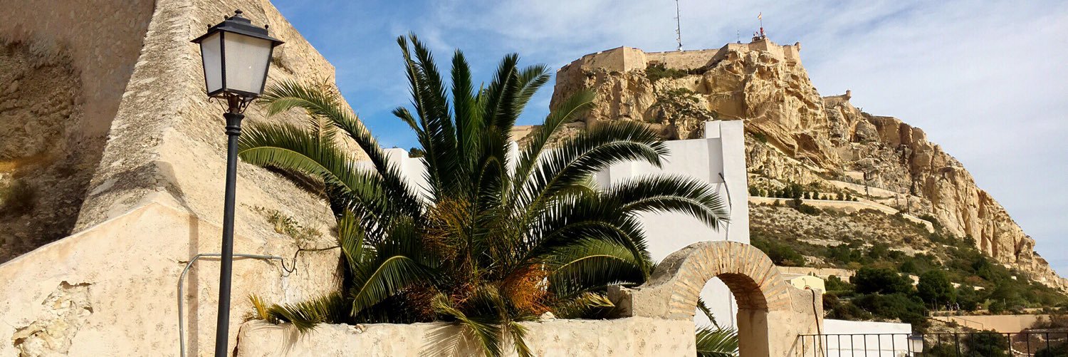 dianavadeboda's profile banner image