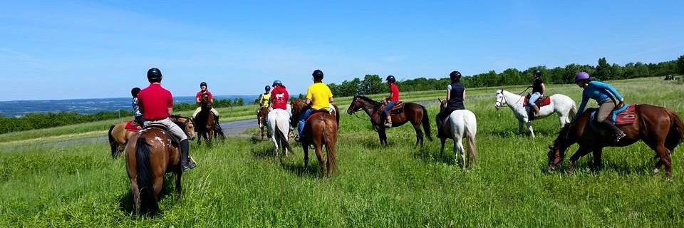 Painted Bar Stables banner