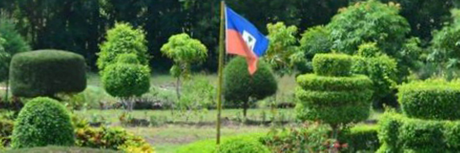 DophSt's profile banner image