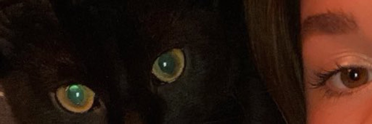 Ccile banner