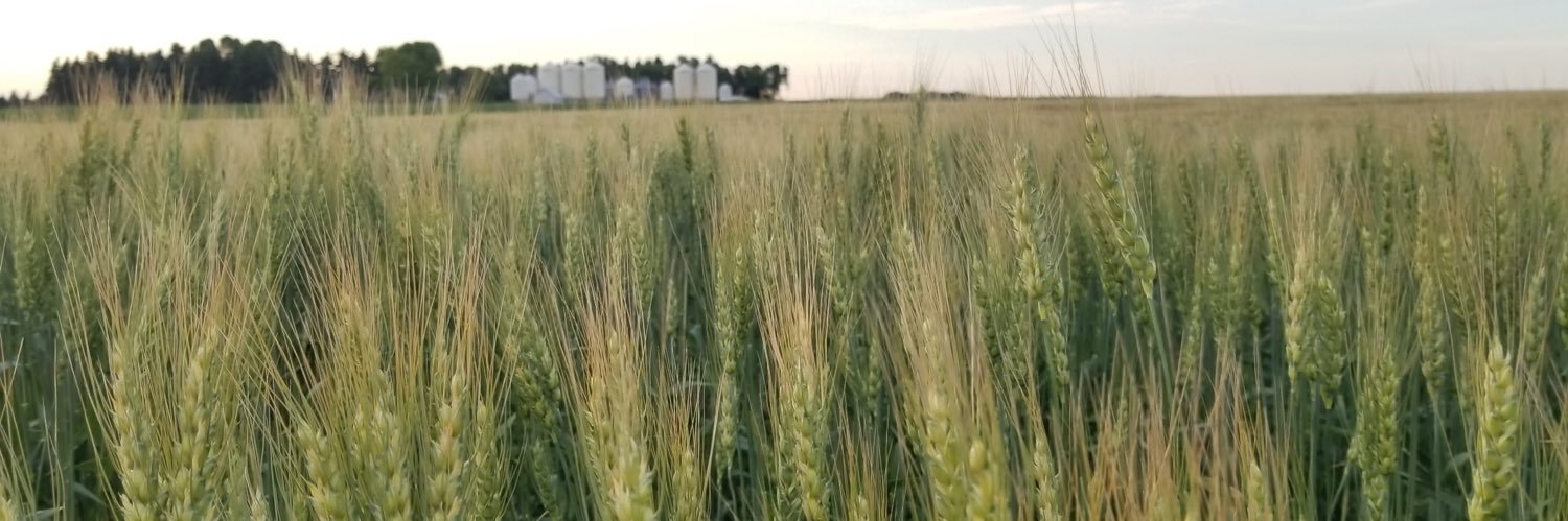 rsbfarms's profile banner image