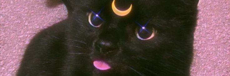 toxic_kitty3's profile banner image