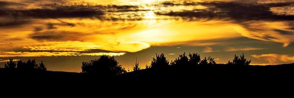 DrJoyEngstrom's profile banner image