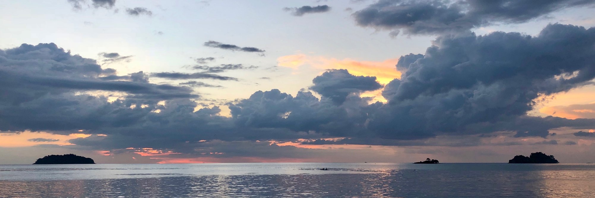 James Gin Pollock banner