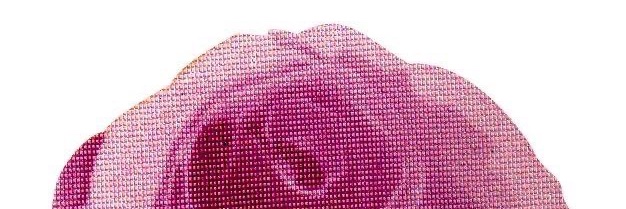 LouiseLbs's profile banner image