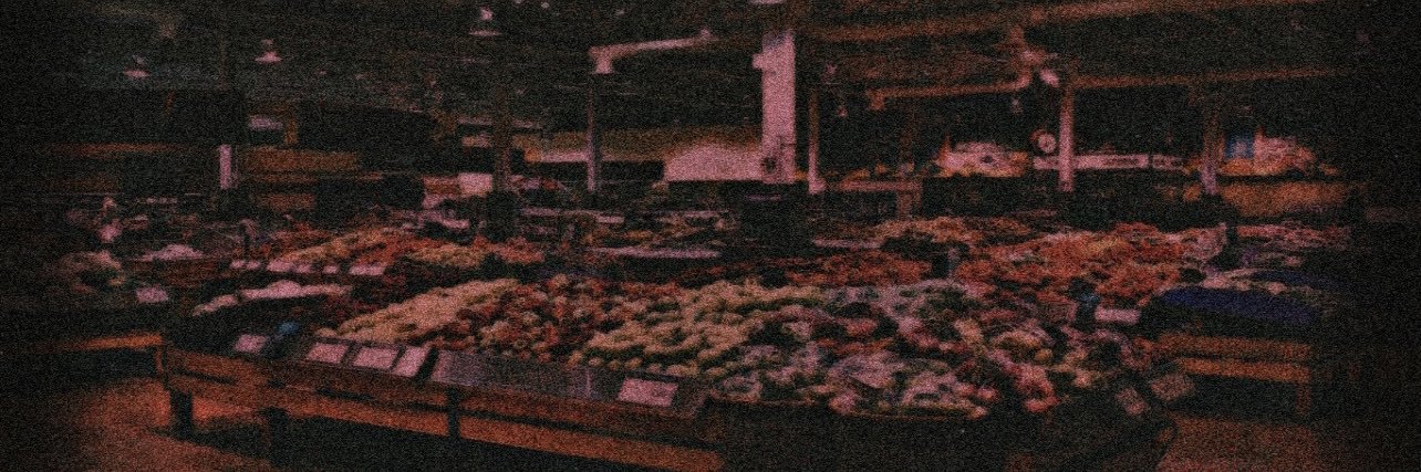 amarauder69's profile banner image