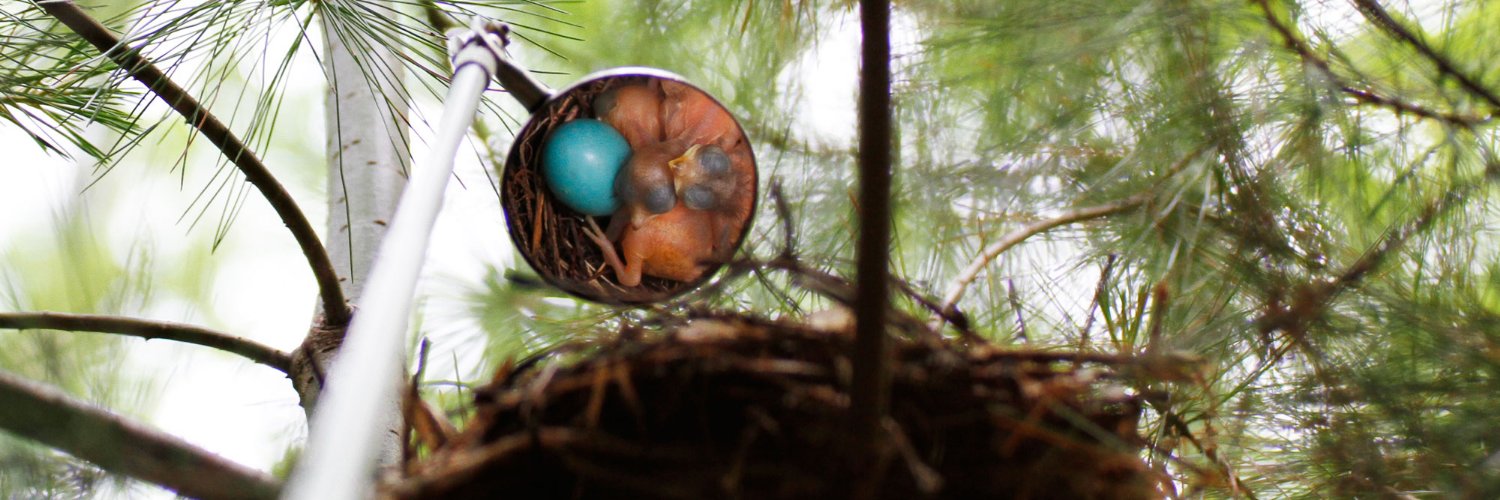 erlynerdgetbird's profile banner image