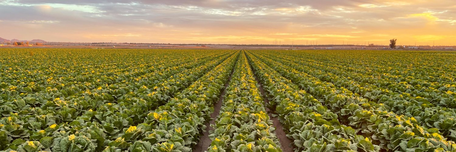 Gowan Company banner