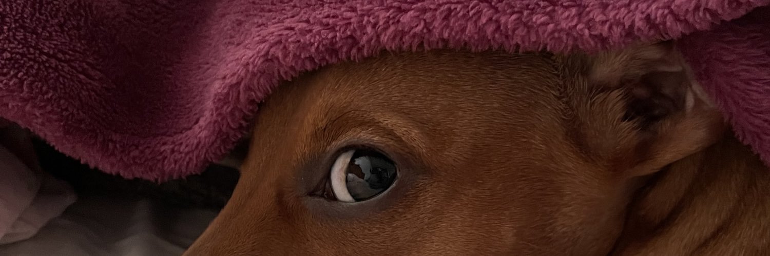 valsa_car's profile banner image