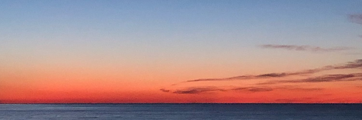 Katie Krawczyk banner