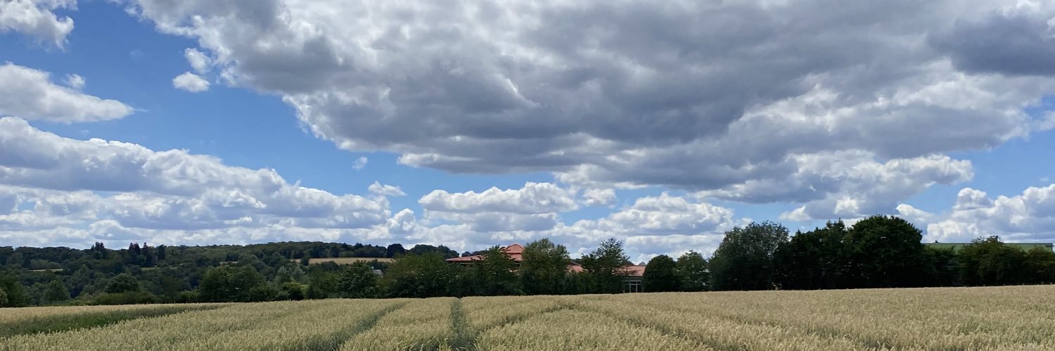 Natasha Pollock banner