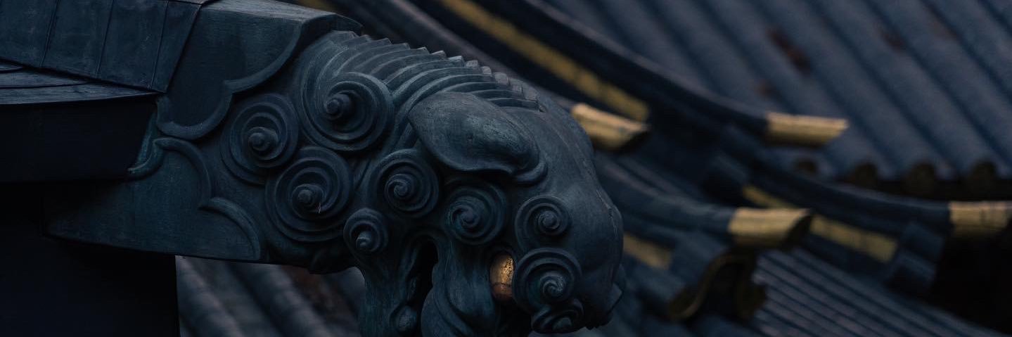 SkuIIion's profile banner image
