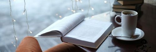 Belleville Public Library banner