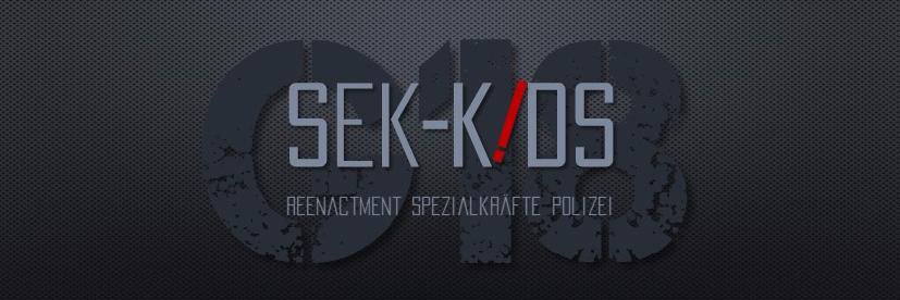 SEK_KIDS's profile banner image