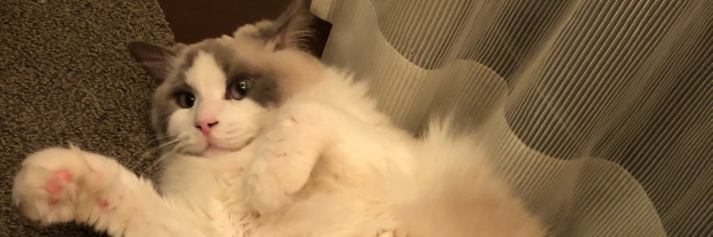 鈴木慎之介 Shinnosuke Suzuki banner