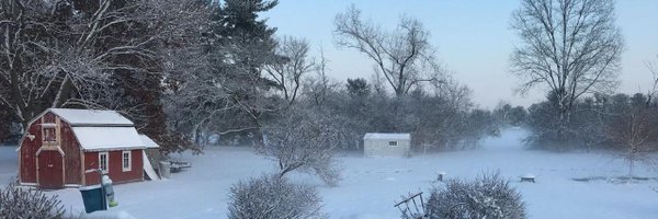 WonkUnit Profile Banner