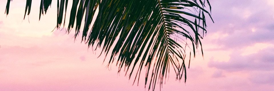 j_aur's profile banner image