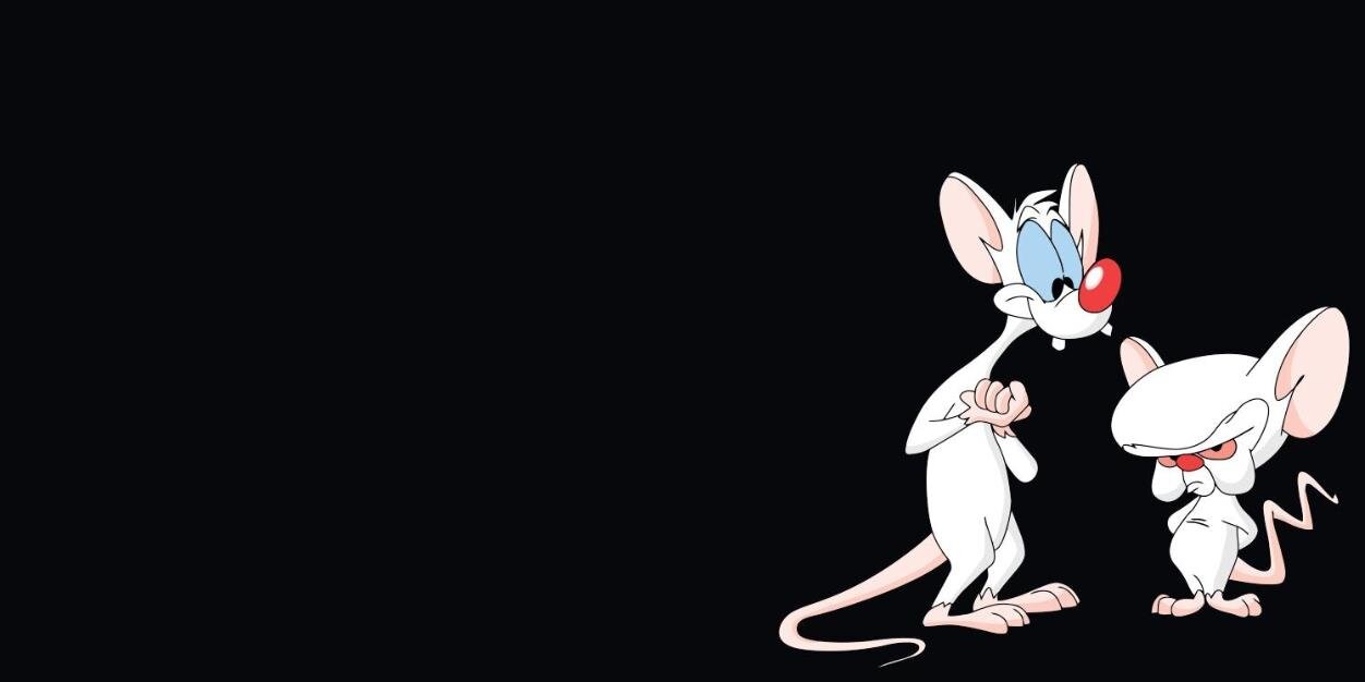 Samantha Pokroy 🇿🇦 banner