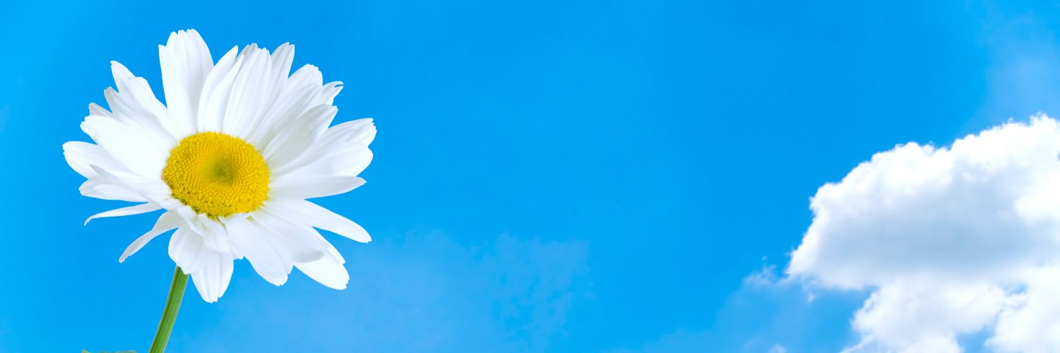 FionaSHealth's profile banner image
