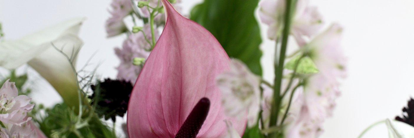 flowerswith_m's profile banner image