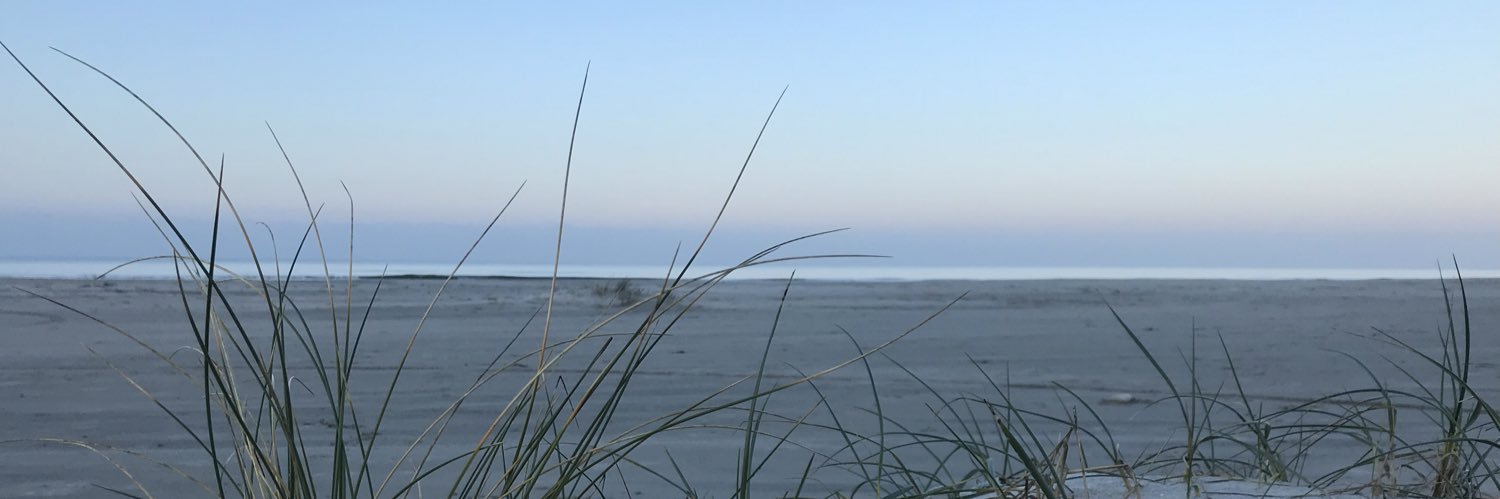 miatangdenmark's profile banner image