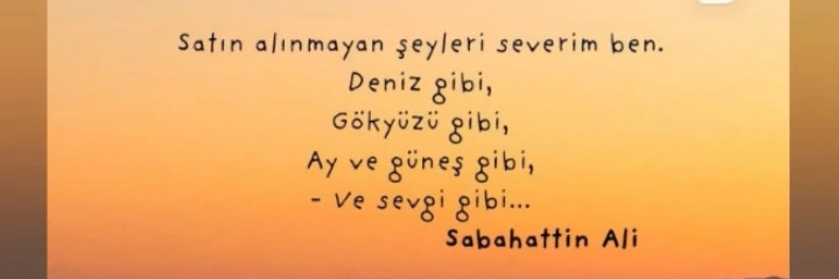 seray_colak's profile banner image