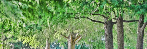 ckle3 Profile Banner