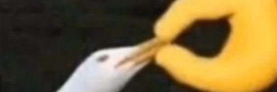 XxLizzyGxX's profile banner image