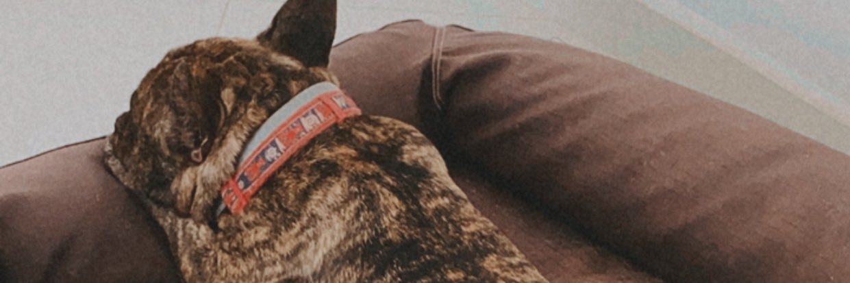 moniipp's profile banner image