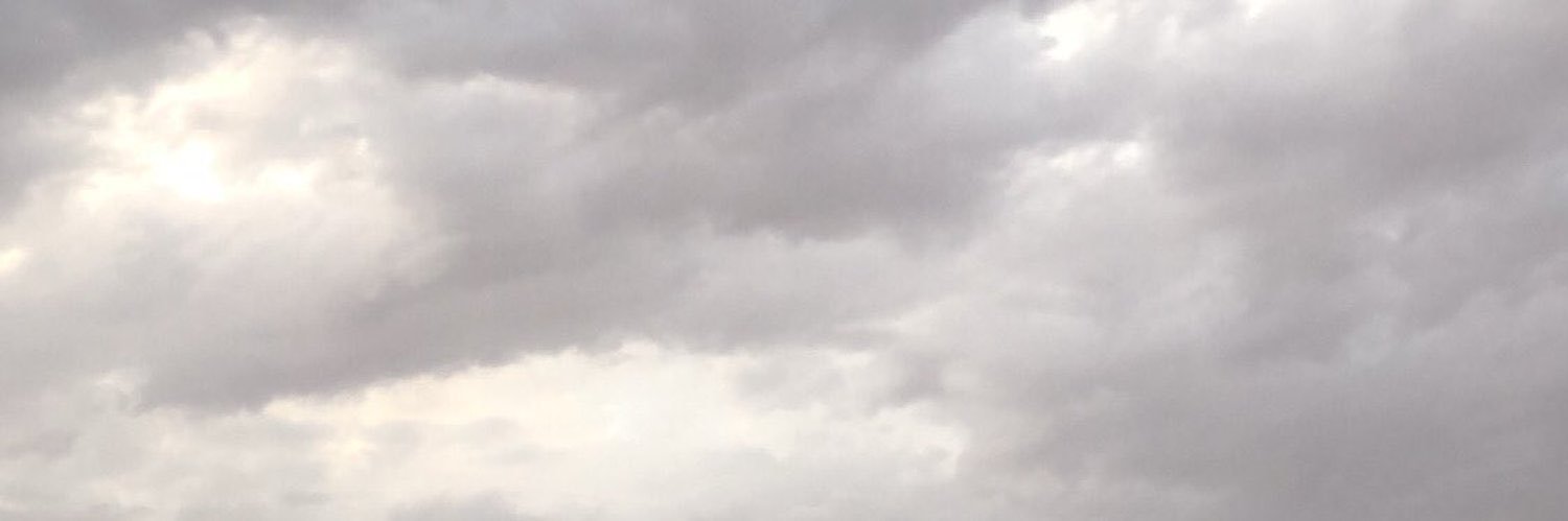 11NU11's profile banner image