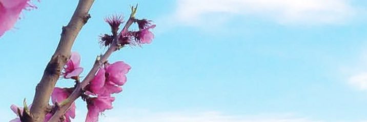 Dr.Atheer Alyami | د. أثير اليامي banner