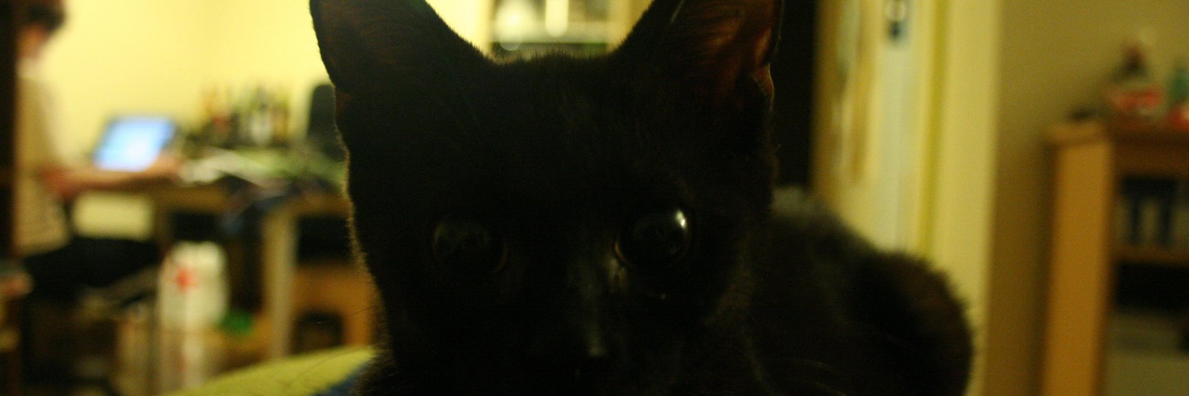 bennypmo's profile banner image