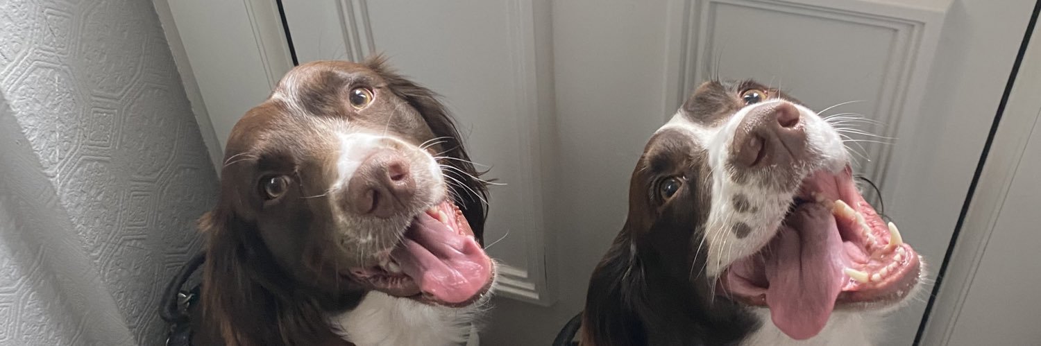 rossowenn's profile banner image