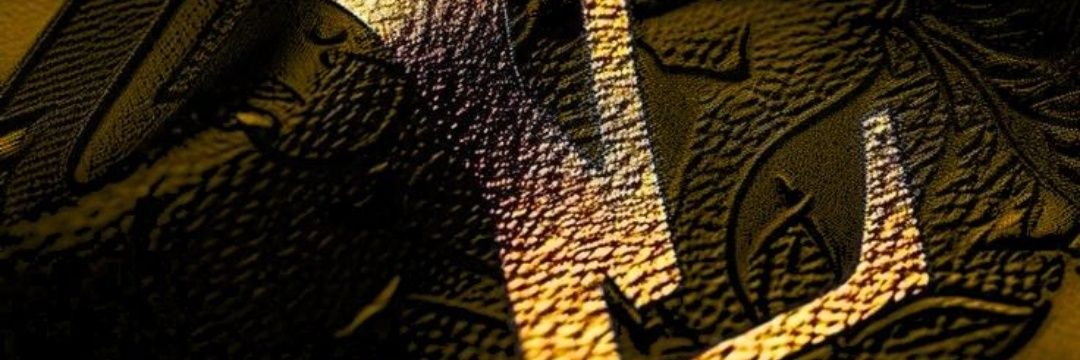 albertreis18's profile banner image
