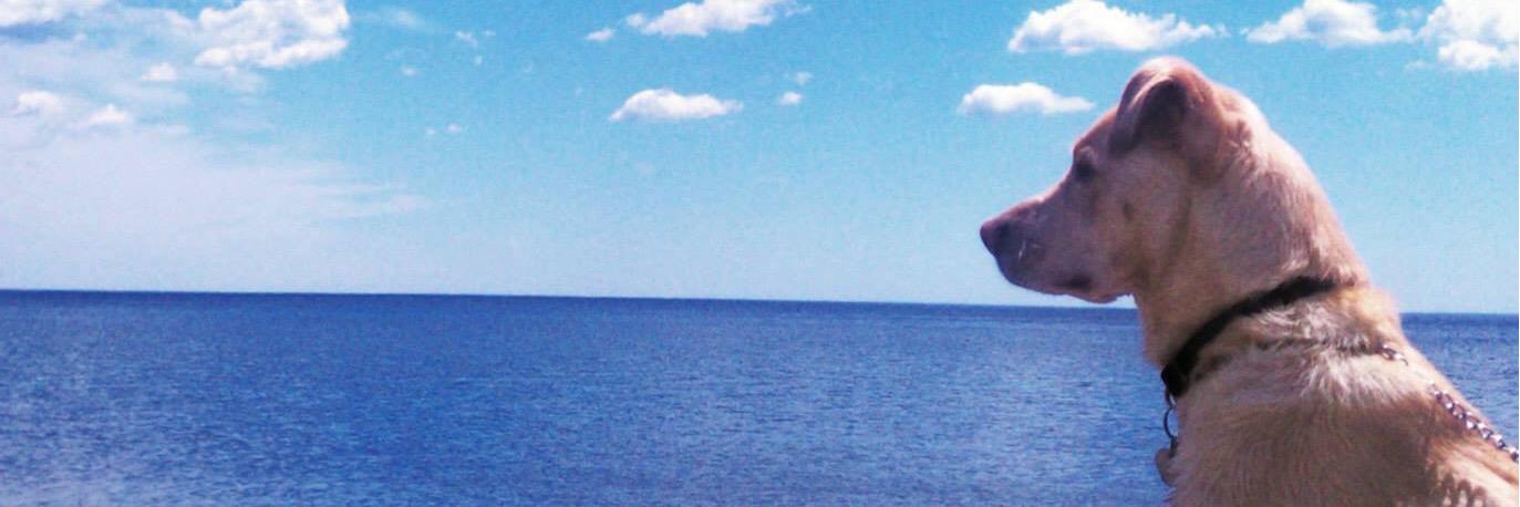 mmudra's profile banner image
