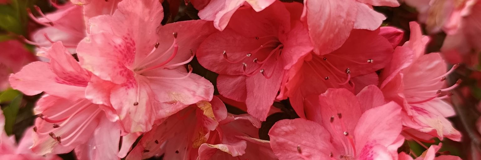 simovinci97's profile banner image