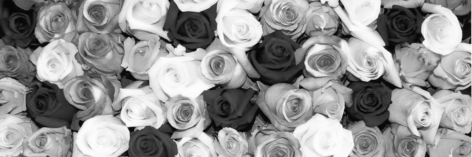 Markuskng's profile banner image